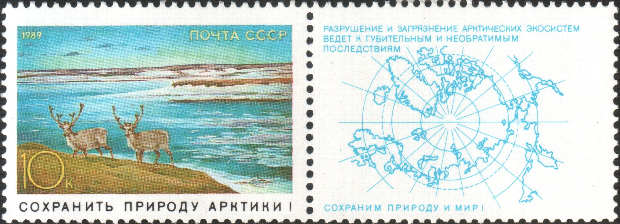 1989 6041 Сохранить природу Арктики! Сохраним природу и мир! 10к
