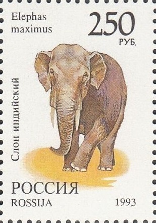 1993 0130 Слон индийский 250р