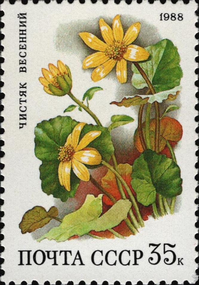1988 5969 Чистяк весенний 35к