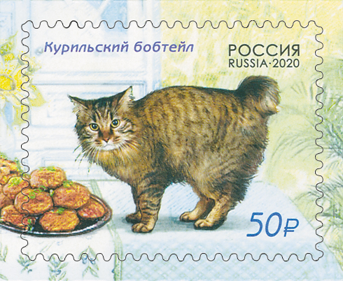 2020 2612 Кошка Курильский бобтейл 50р