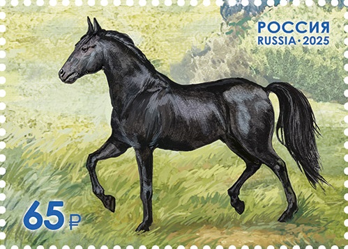 2025 3463-3464 200 лет Новоалександровский конный завод 65р Почтовый блок