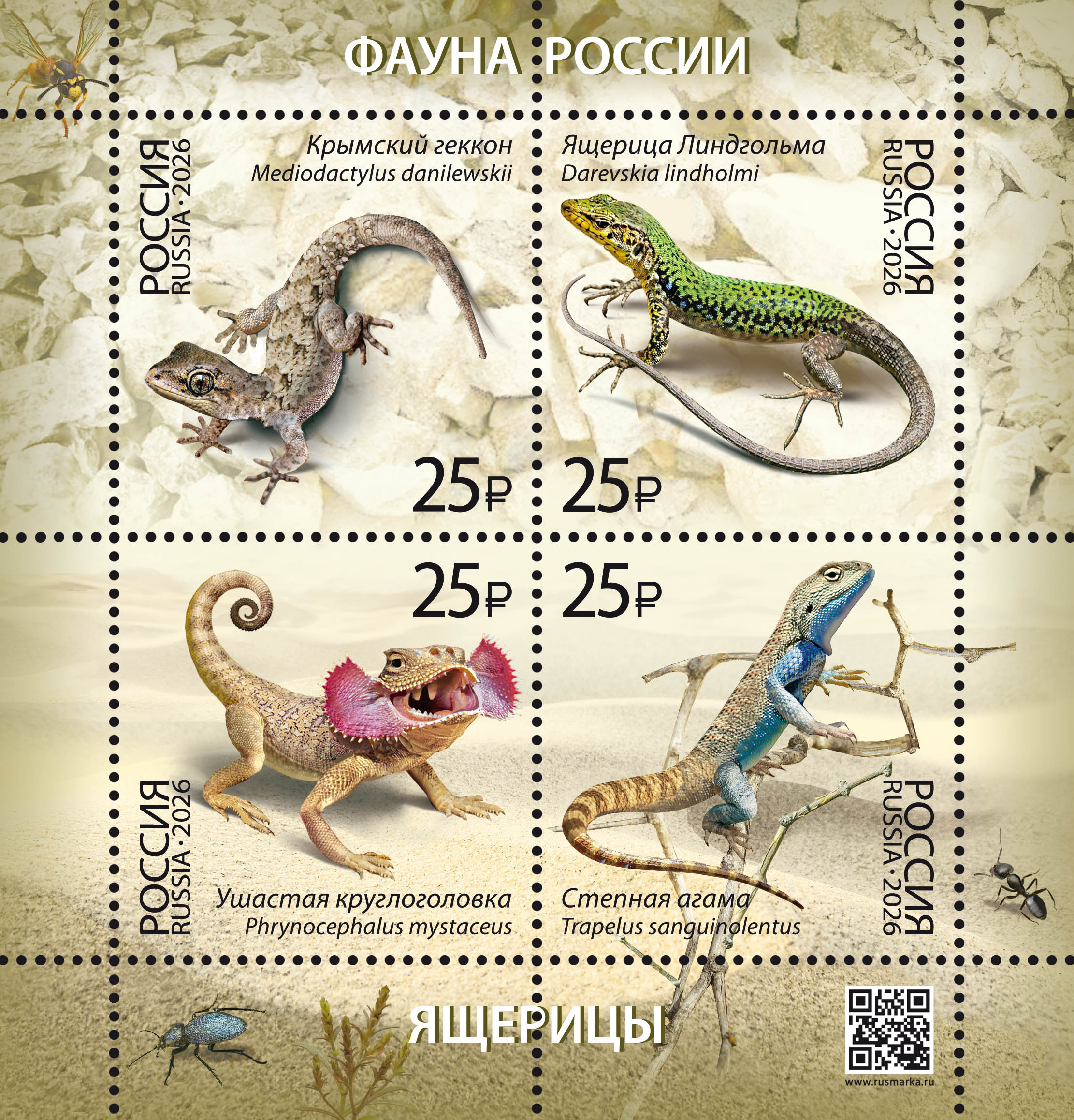 2026 3582 Ящерица Крымский геккон 25р