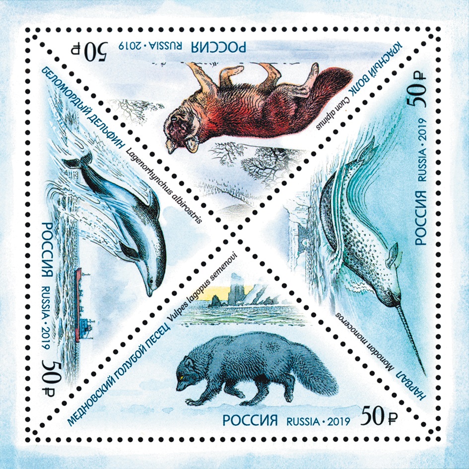 2019 2507 Беломордый дельфин. Красная книга. Фауна России 50р