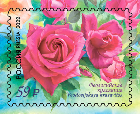 2022 2875 Розы. Феодосийская красавица 59р