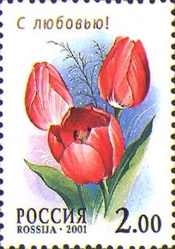 2001 661 Тюльпан канопус (Canopus) 2р