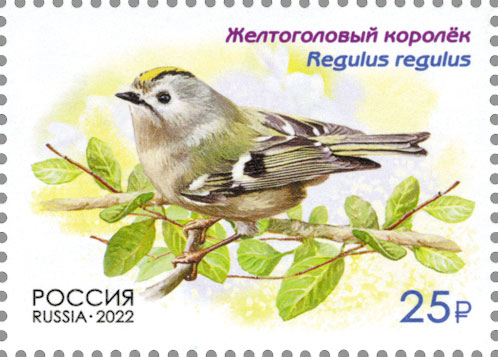 2022 2861 Желтоголовый королёк 25р
