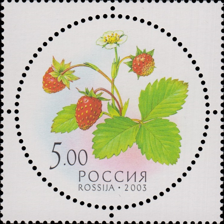 2003 884 Земляника. Дары природы 5р
