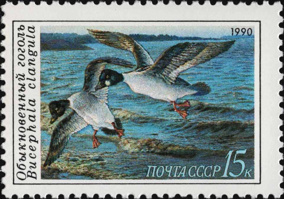 1990 6221 Утка обыкновенный гоголь 15к