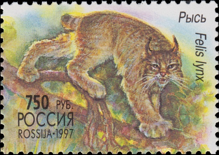 1997 377 Рысь 750р