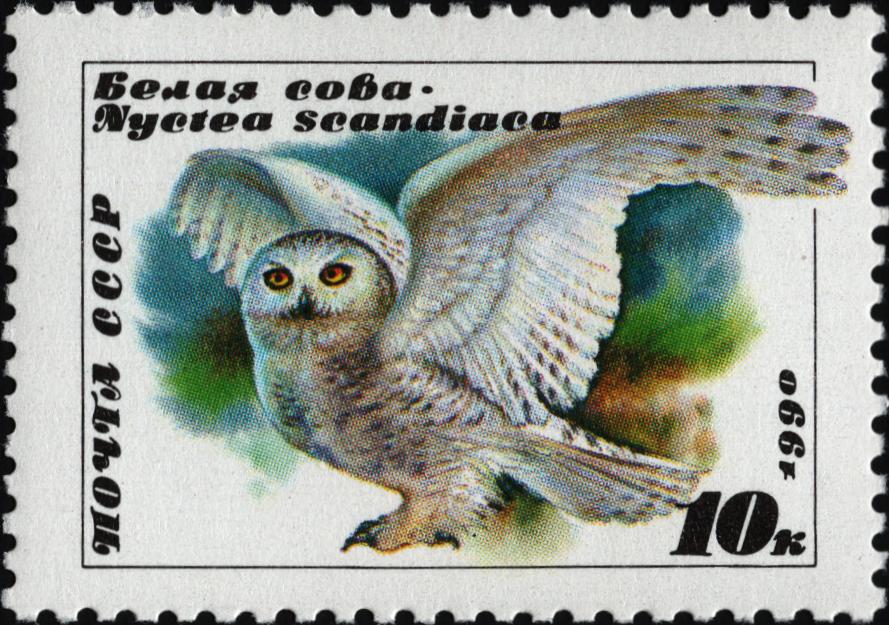1990 6183 Белая сова 10к