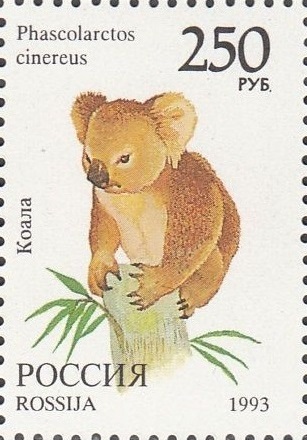 1993 0131 Коала 250р