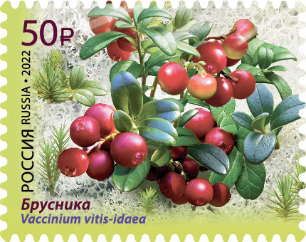 2022 2886 Брусника 50р