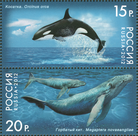 2012 1556 Кит косатка 15р