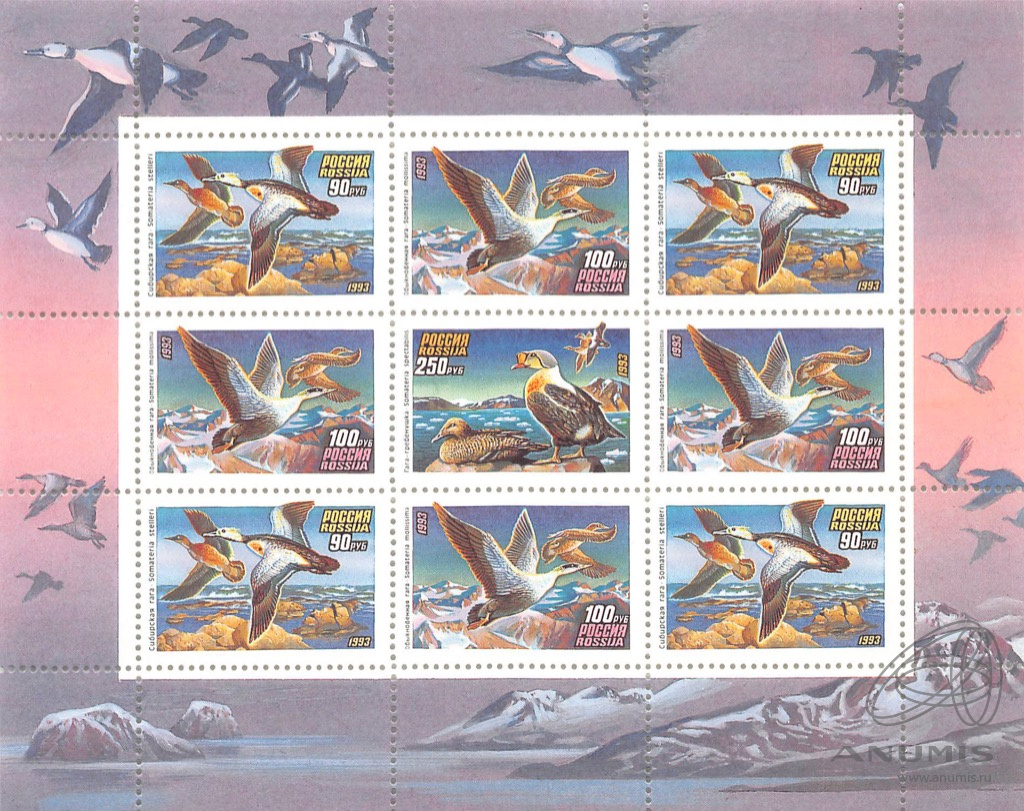 1993 101 Утки Сибирская гага 90р
