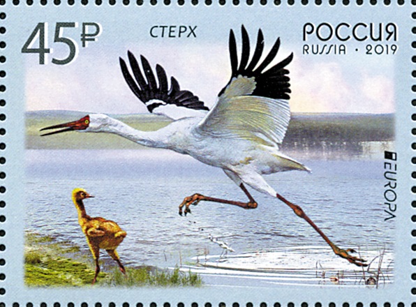 2019 2436 Стерх (белый журавль) 45р Лист