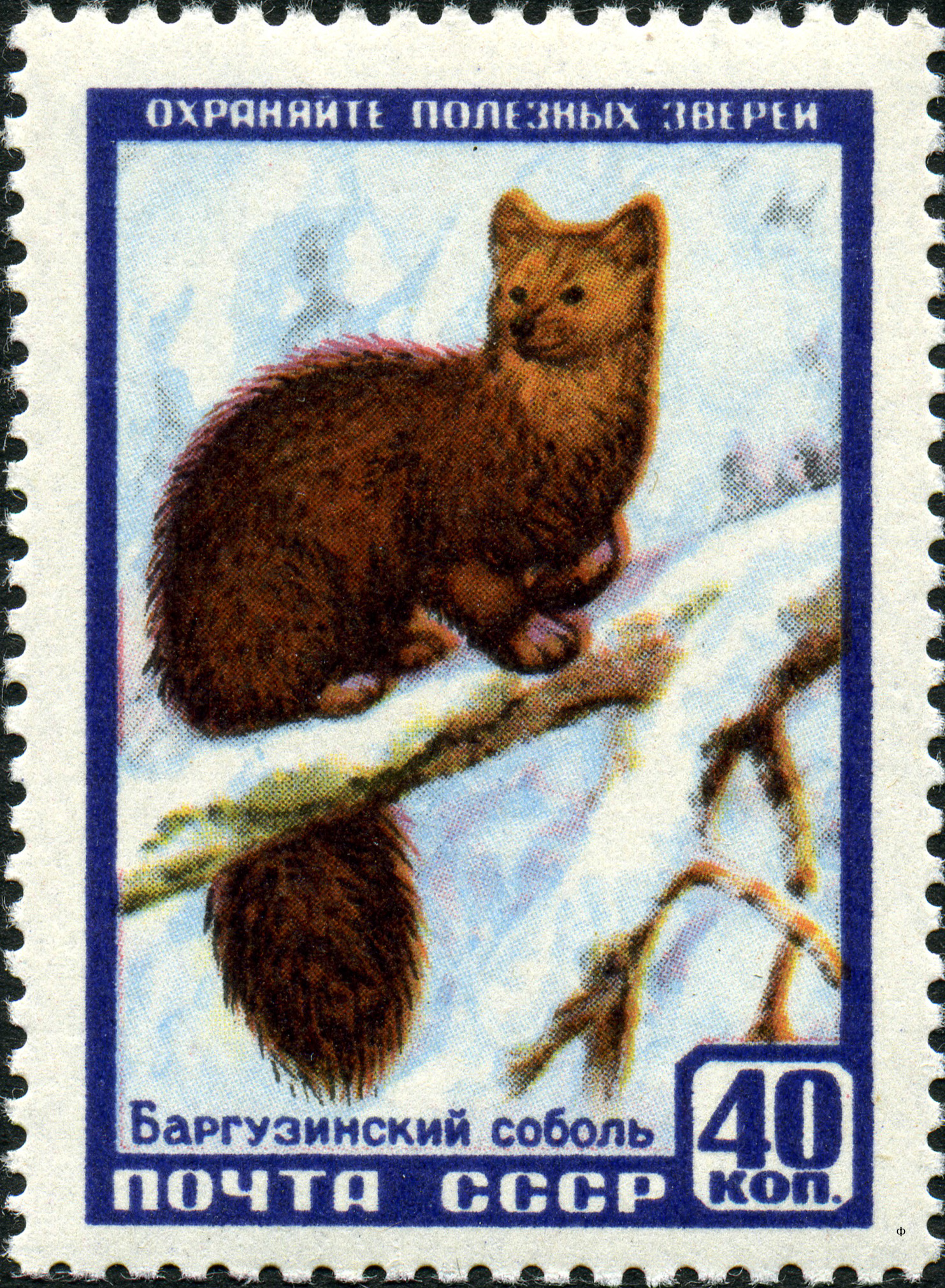 1957 1993 Баргузинский соболь 40к