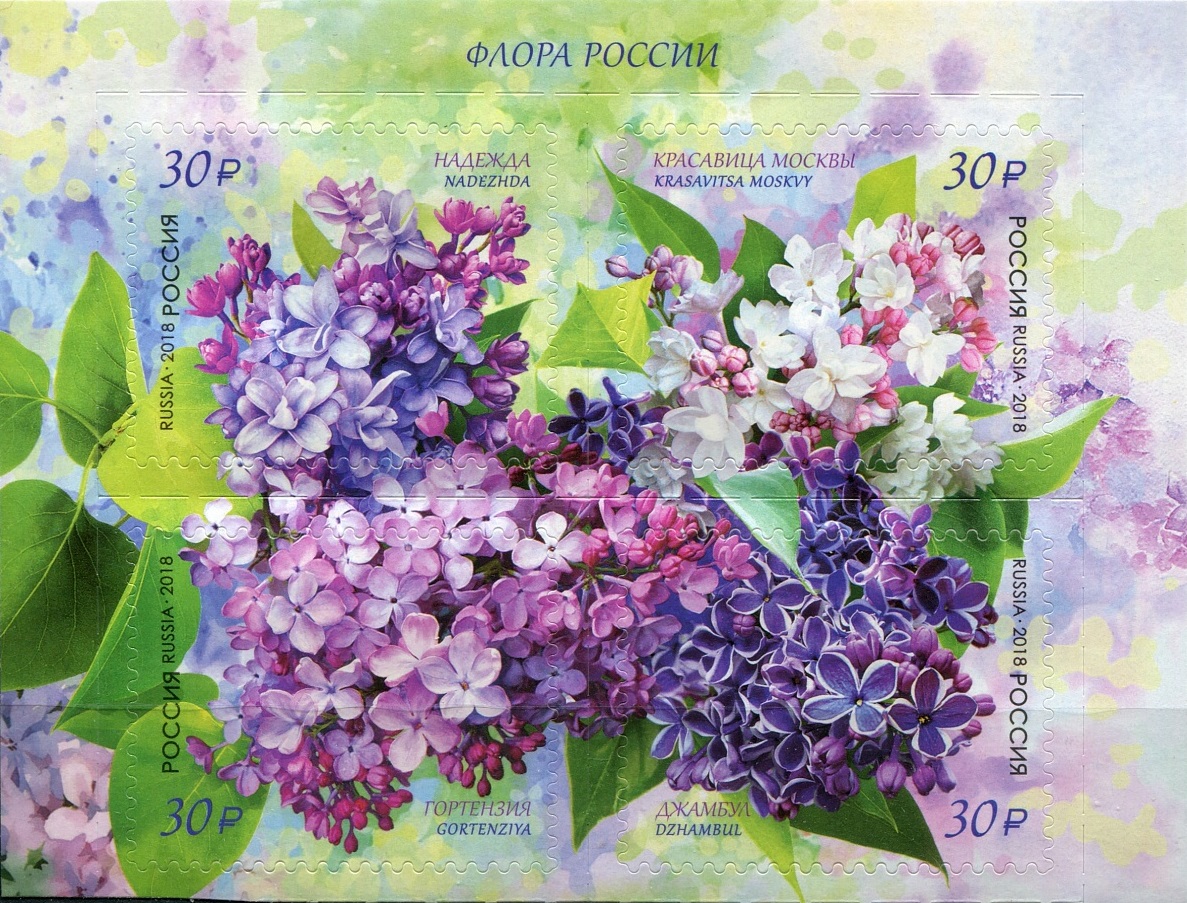 2018 2328 Сирень Надежда 30р