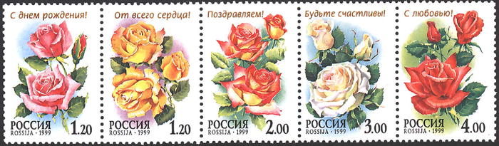 1999 516 Роза Конфиданс 3р