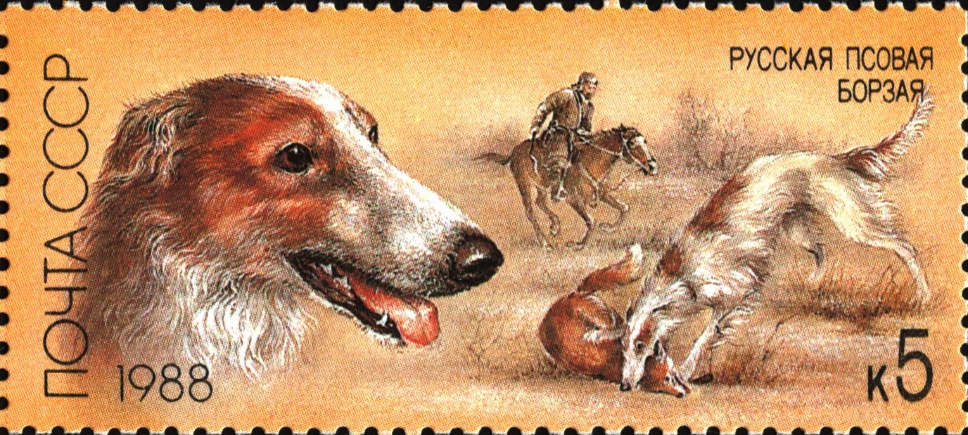 1988 5945 Русская борзая 5к