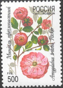1997 334 Миндаль трехлопастный 500р