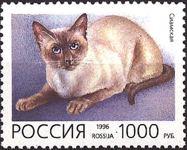 1996 269 Кошка. Сиамская 1000р