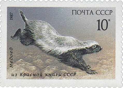 1987 5829 Медоед 10к