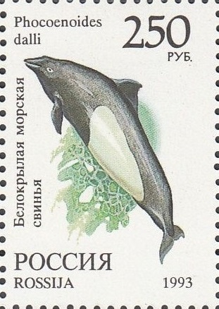 1993 0135 Белокрылая морская свинья 250р