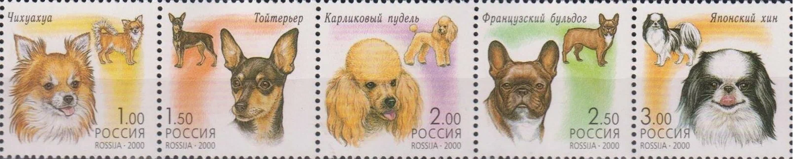 2000 609 Японский хин. Декоративные собаки 3р