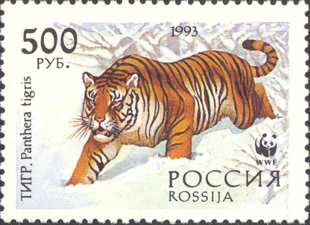 1993 127 Тигр на снегу 500р