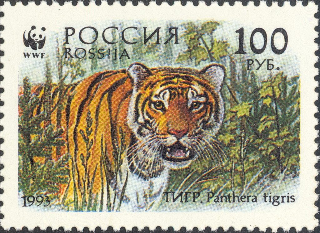 1993 125 Тигр в лесу 100р