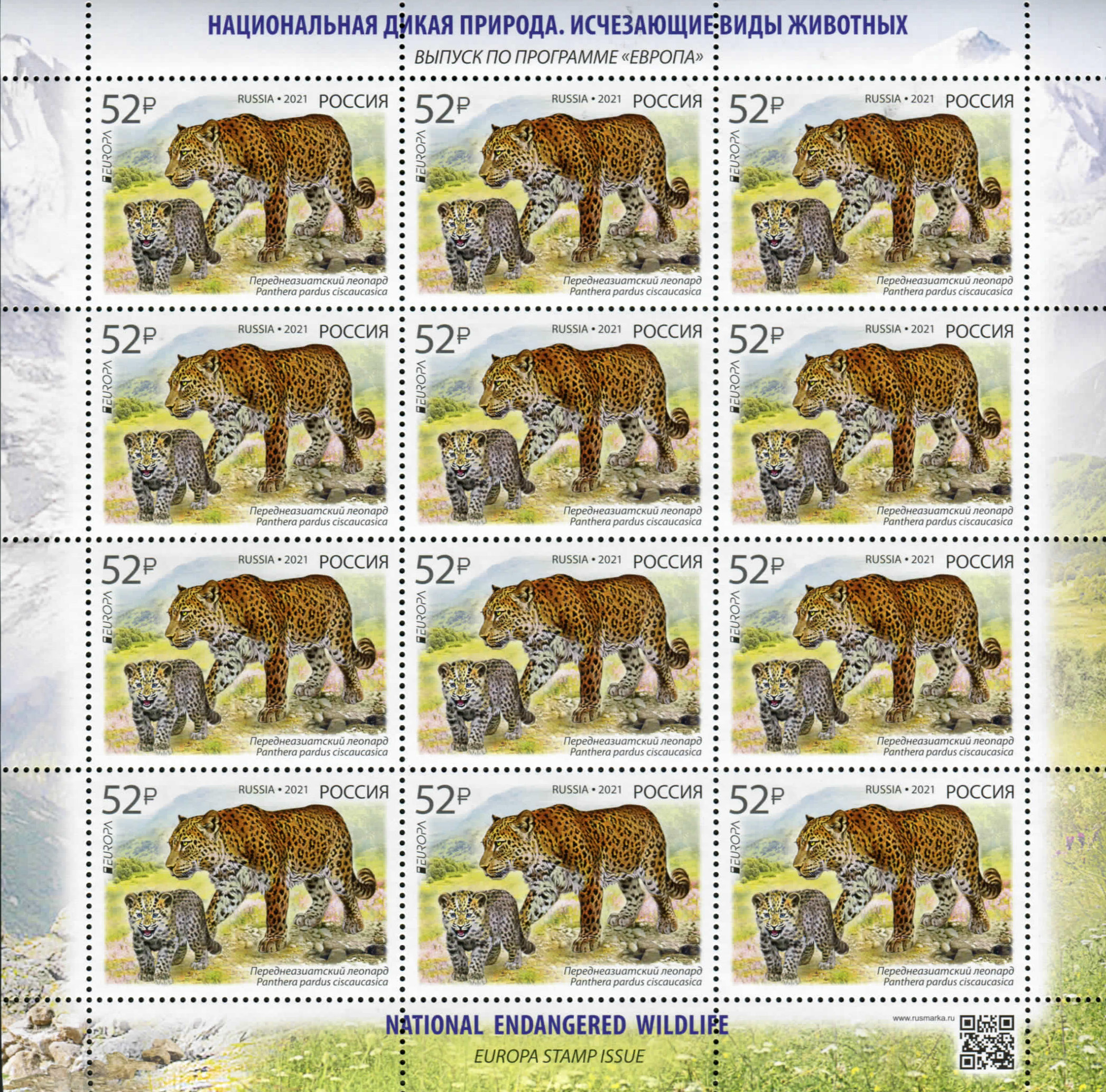 2021 2722 Переднеазиатский леопард 52р