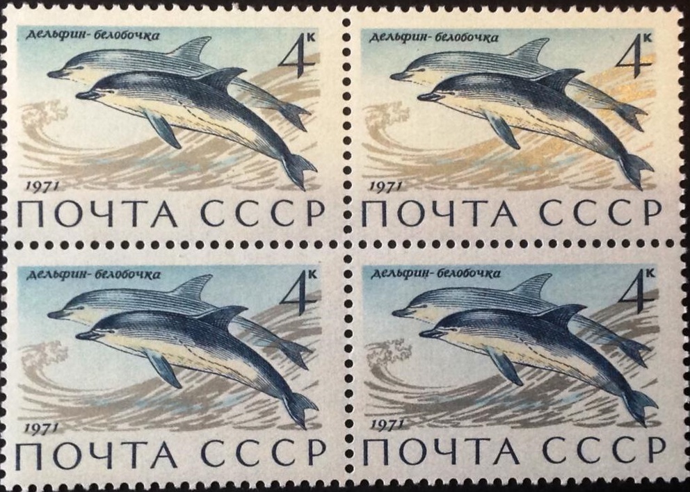 1971 4037 Дельфин-белобочка 4к