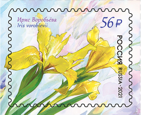 2021 2742 Ирис Воробьёва 56р