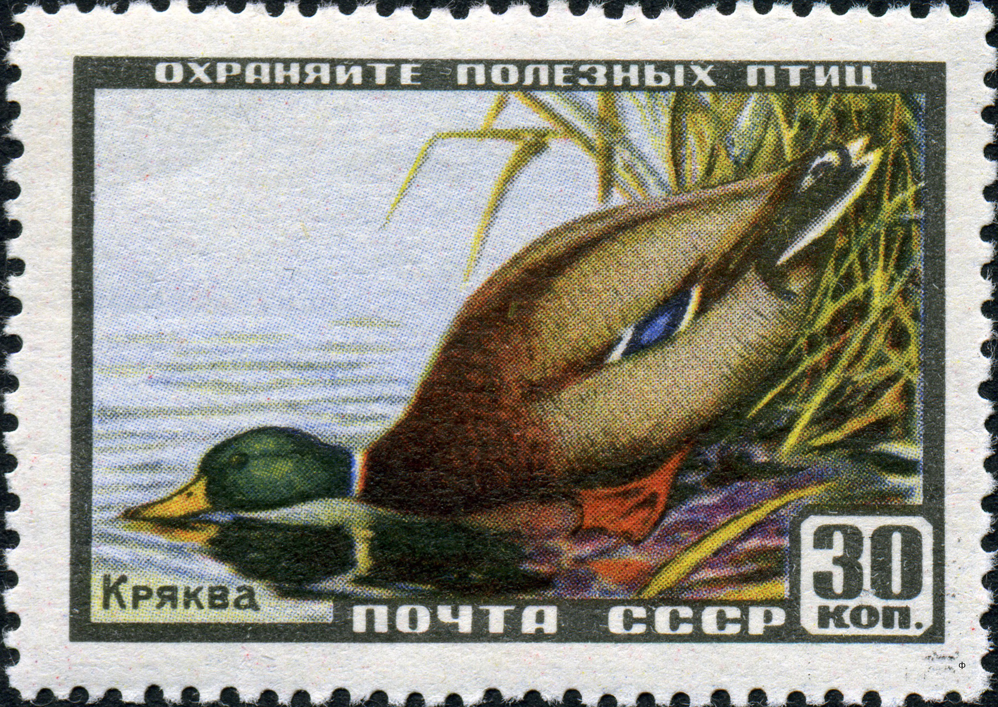 1957 1991 Кряква 30к