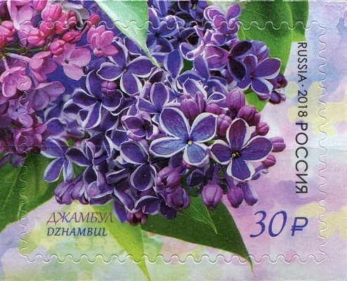 2018 2331 Сирень Джамбул 30р