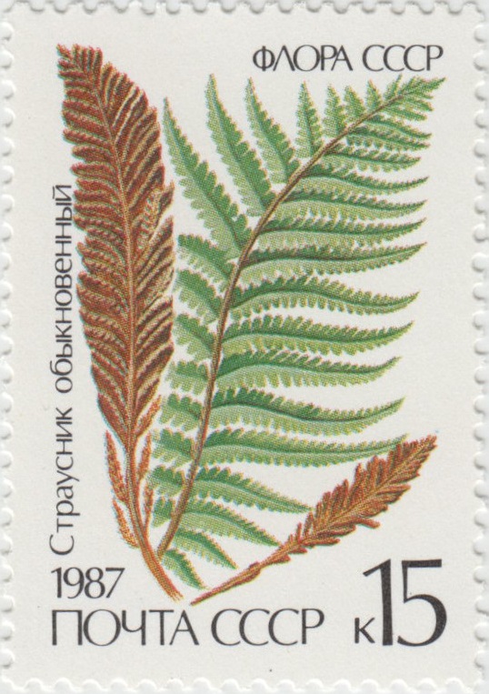 1987 5849 Папоротник Страусник обыкновенный 15к