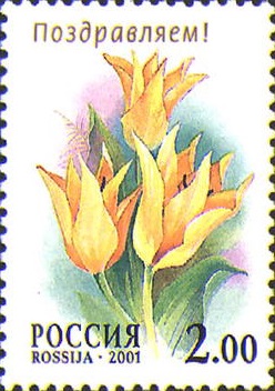 2001 0659 Тюльпан свит гармони (Sweet Нarmoni)  2р