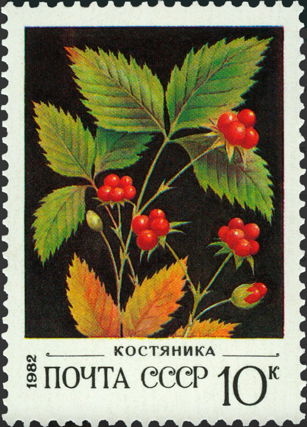 1982 5275 Костяника 10к