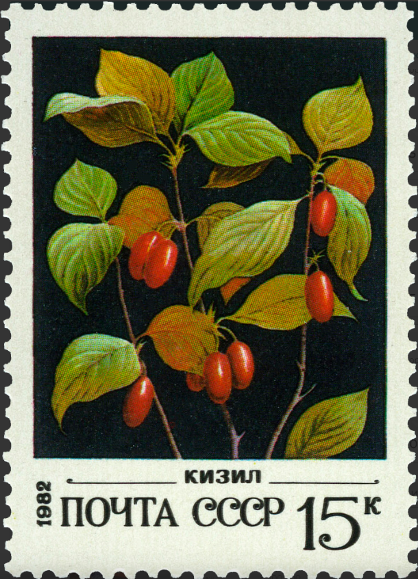 1982 5276 Кизил 15к