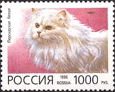 1996 268 Кошка. Персидская белая 1000р