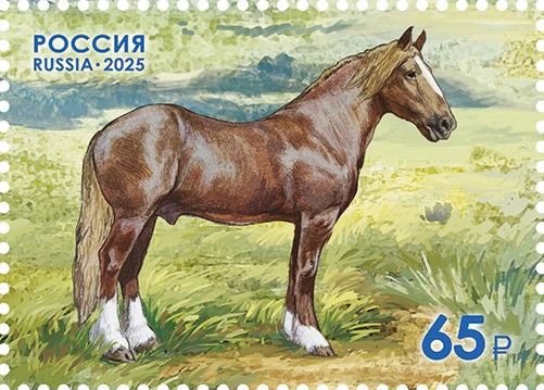 2025 3463 Лошадь новоалександровская тяжеловозная 65р