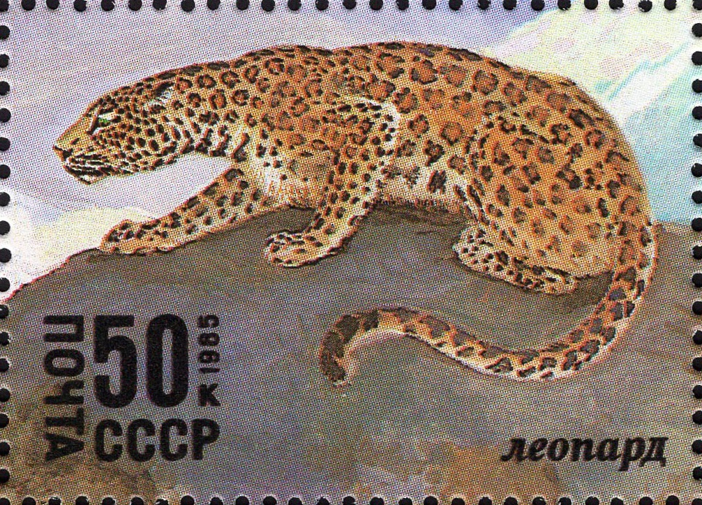 1985 5663 Леопард 50к Почтовый блок