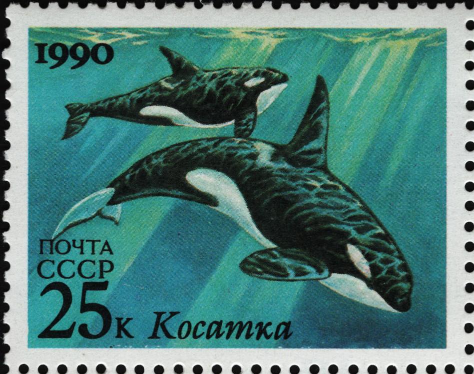1990 6251 Кит косатка 25к