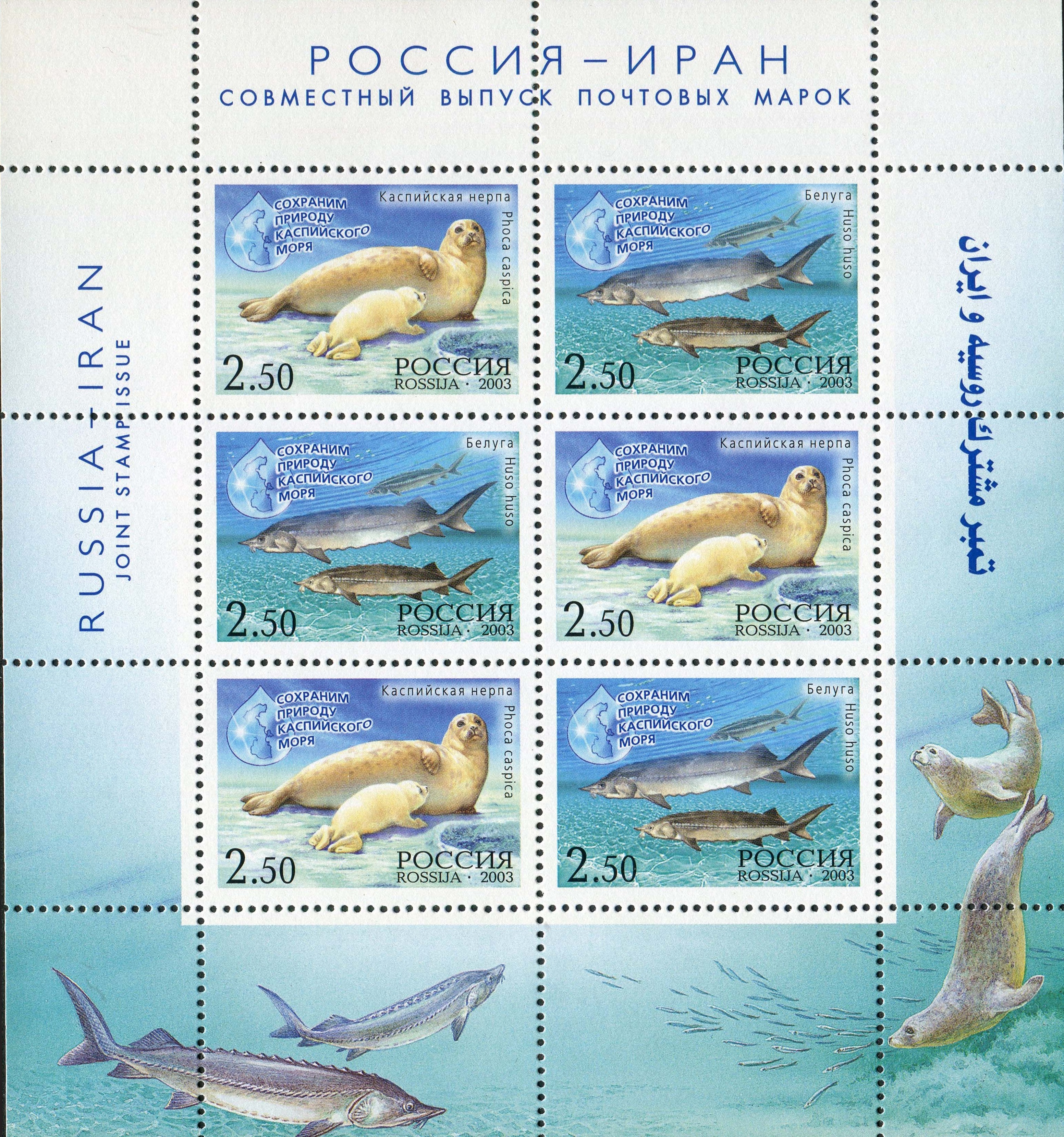 2003 886 Каспийская нерпа 2.50р