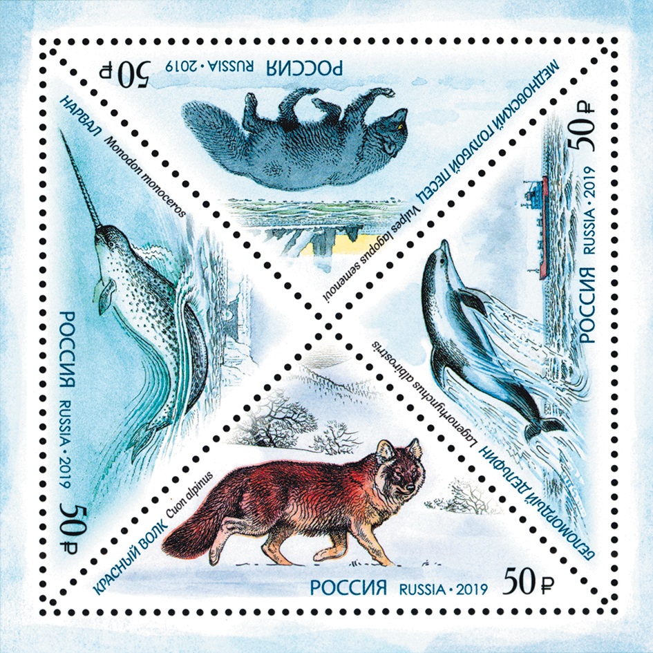 2019 2506 Красный волк. Красная книга. Фауна России 50р