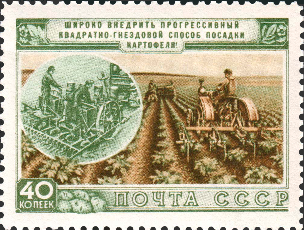 1954 1773 Посадка картофеля 40к