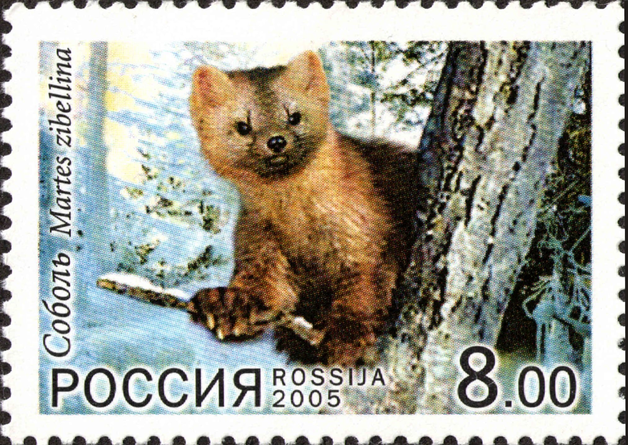 2005 1032 Соболь 8р