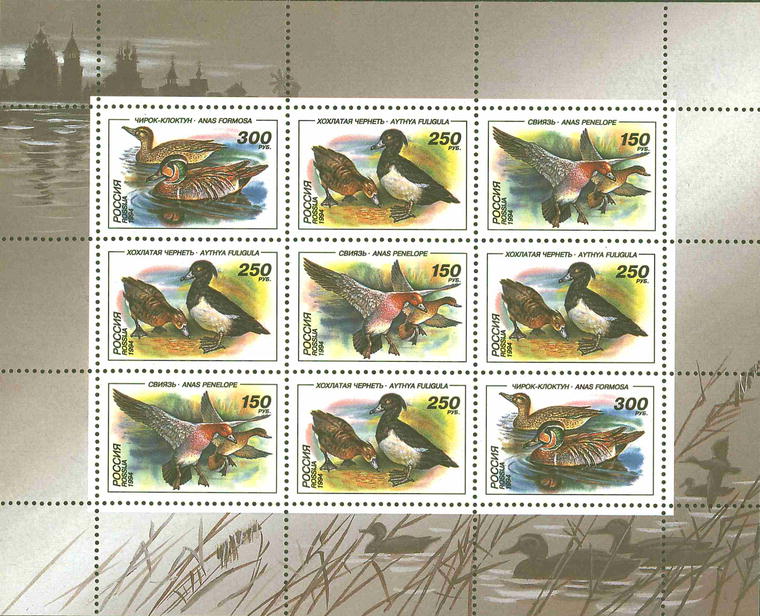 1994 170 Утки Свиязь 150р