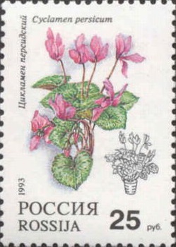1993 079 Комнатные цветы. Цикламен персидский 25р
