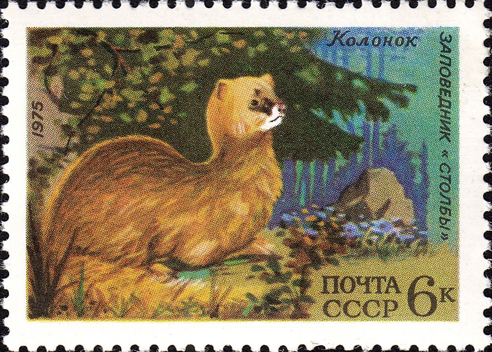 1975 4499 Колонок 6к